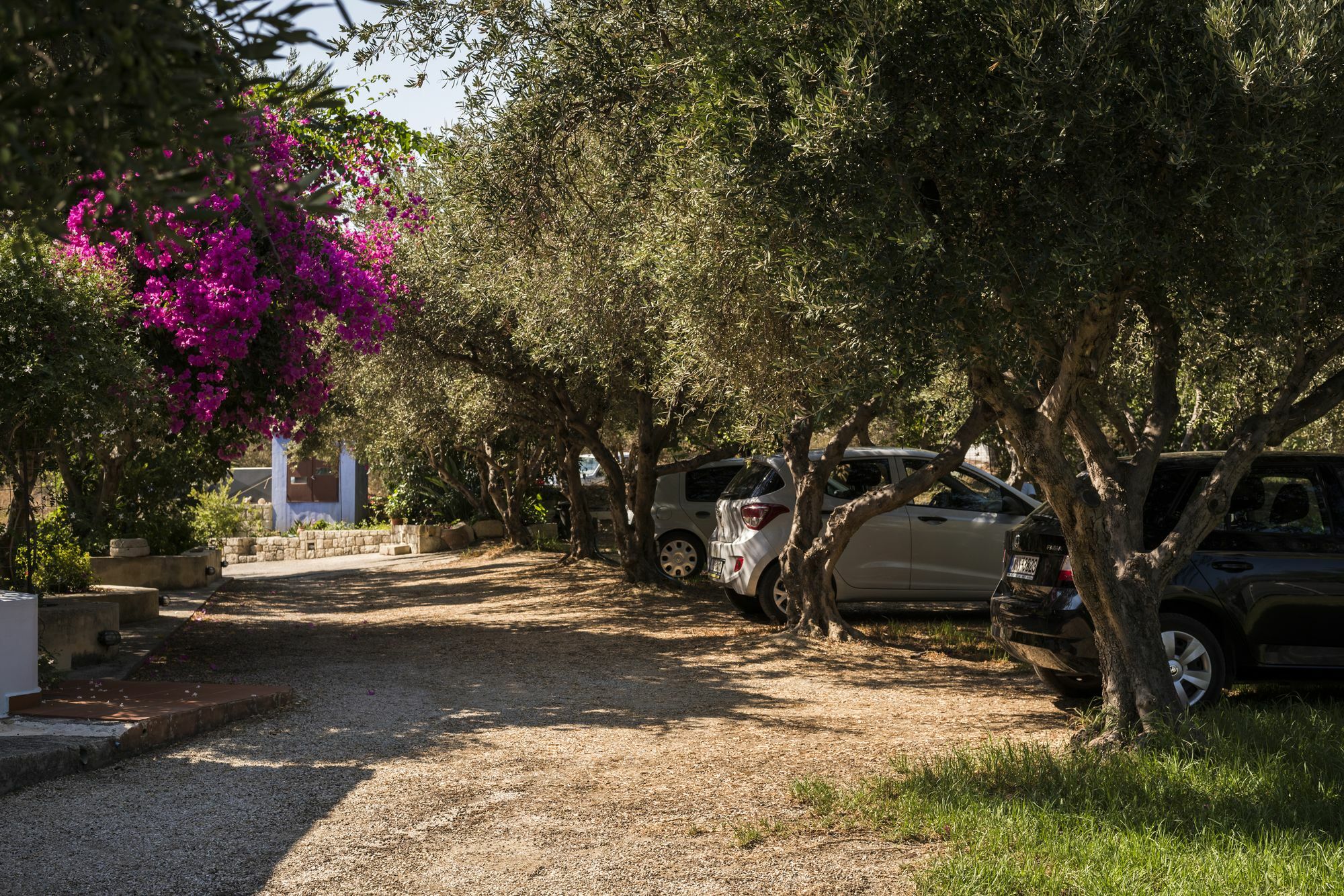 Orionas Village Kato Daratso Exterior photo